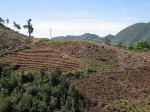 羅自佐村 羅自佐村