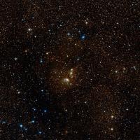 IC 4954