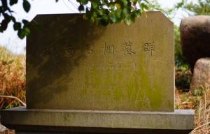 浙南石棚墓群 浙南石棚墓群