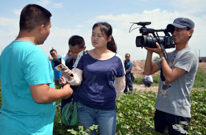 兵團新聞網 兵團新聞網
