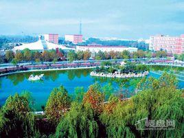 豫龍之春 豫龍之春