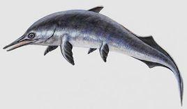 短頭魚龍 短頭魚龍