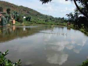 大保山村 大保山村
