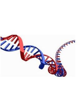 基因間互補 基因間互補