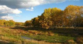 老虎頭森林公園 老虎頭森林公園