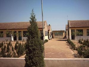 故城鎮[河北省衡水市故城縣轄鎮]