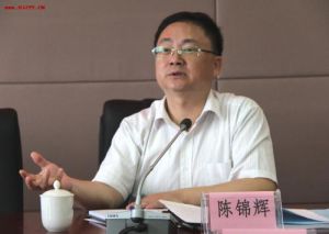 陳錦輝[福建船政交通職業學院院長]