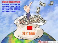 外匯期貨市場 外匯期貨市場