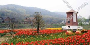 無錫農博園 無錫農博園