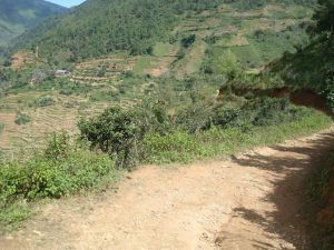 依黑地村 依黑地村