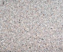 蝦紅 | Shrimp Red |