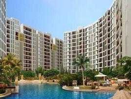 澤科興城 澤科興城