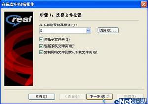 realplayer11