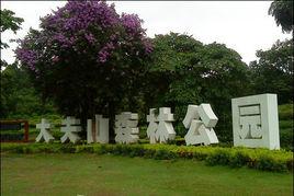 廣州大夫山 廣州大夫山