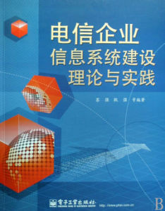 電信企業信息系統建設理論與實踐