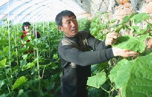 （圖）長山峪鎮