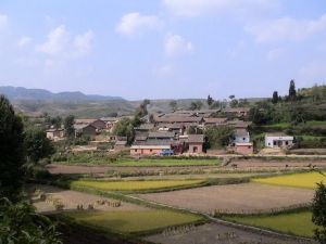 中小屯村 中小屯村