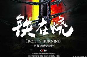 鐵在燒——志願軍第63軍鐵原戰記 鐵在燒——志願軍第63軍鐵原戰記