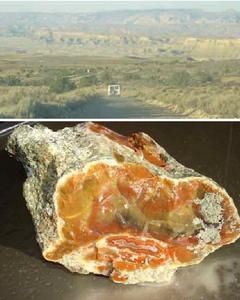 猶他州黃貓平地