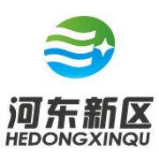 河東新區 河東新區