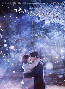 當你沉睡時[2017年李鍾碩、裴秀智主演韓劇]