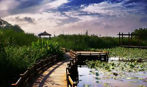 鏡湖國家城市濕地公園