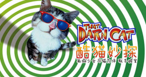 酷貓妙探 酷貓妙探