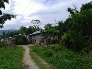 畔弄自然村 畔弄自然村