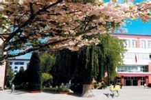 昭通一中 昭通一中