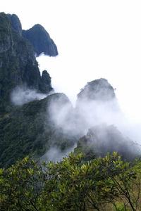 廣西大瑤山國家級自然保護區 廣西大瑤山國家級自然保護區