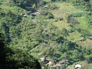 花竹坪村 花竹坪村