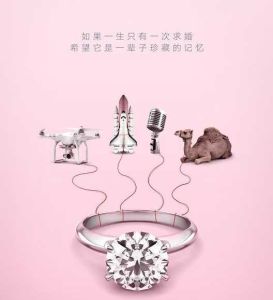 求婚專家[電影《求婚專家》]