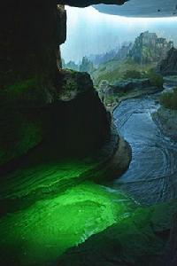 黃河濕地 黃河濕地