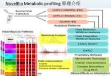 代謝組檢測流程