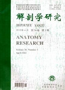 解剖學研究 解剖學研究