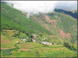 河西村[雲南省祿勸縣撒營盤鎮下轄村]