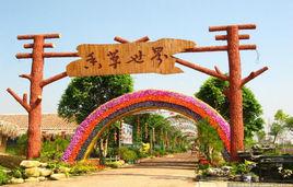 花都香草世界 花都香草世界