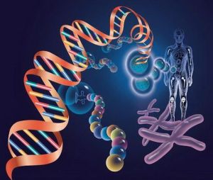 基礎科學 基礎科學