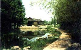 中國現代公園 中國現代公園