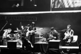 大象體操 大象體操