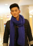 再戰江湖[2016年林弢、胡宗祥執導的謝文東第四季]