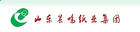 山東晨鳴紙業集團