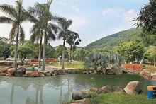 增城市旅遊景點