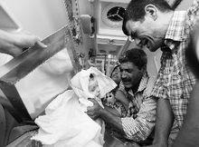 艾蘭&middot;科迪