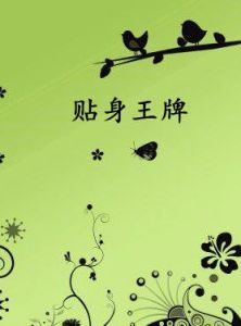 貼身王牌 貼身王牌