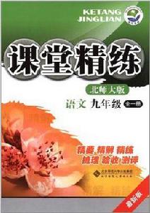 課堂精練·語文 課堂精練·語文