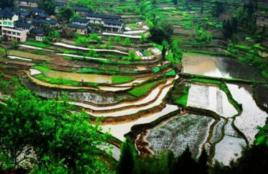 駱來山風景名勝區 駱來山風景名勝區