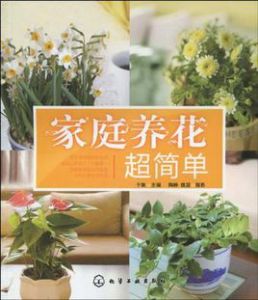 家庭養花超簡單