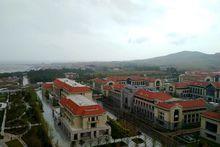 山東大學（青島）