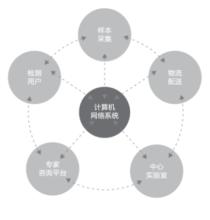 hiv病毒基因檢測系統流程圖